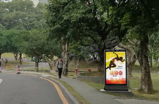 点亮城市智慧之眼 户外大屏在智慧城市中的多元化应用